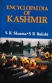 Encyclopaedia of Kashmir Volume-4 (Modern Kashmir)